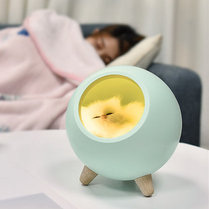 Cartoon Cat Nest Night Light with USB Charging